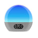 WiiM Light | Lumière et réveil matin - Streaming Audio - Alexa built-in-Sonxplus Thetford Mines