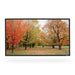 Grandview GV-PME100 | Écran de projection fixe"EDGE" - 100" - ratio 16:9 - contour mince-SONXPLUS Thetford Mines